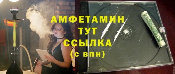 шишки Саяногорск