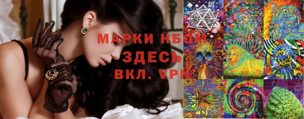 амф Абинск