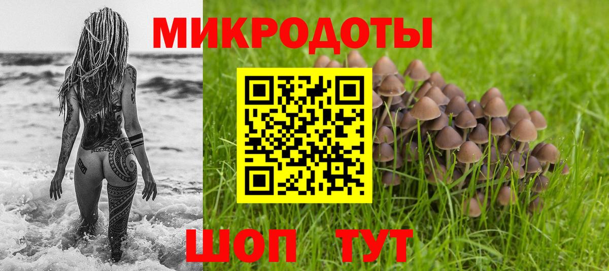 Псилоцибиновые грибы MAGIC MUSHROOMS Кинешма