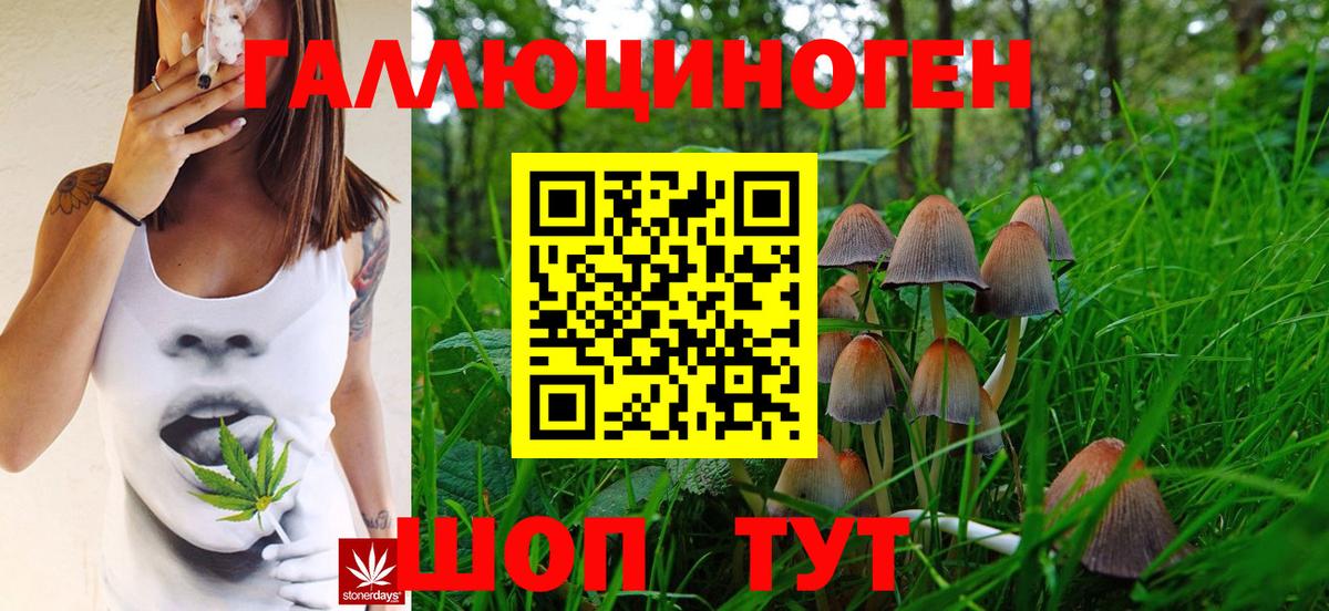 Галлюциногенные грибы Psilocybe  Вход с VPN  Кинешма  Галлюциногенные грибы Cubensis 