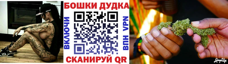 Шишки марихуана планчик  Кинешма 